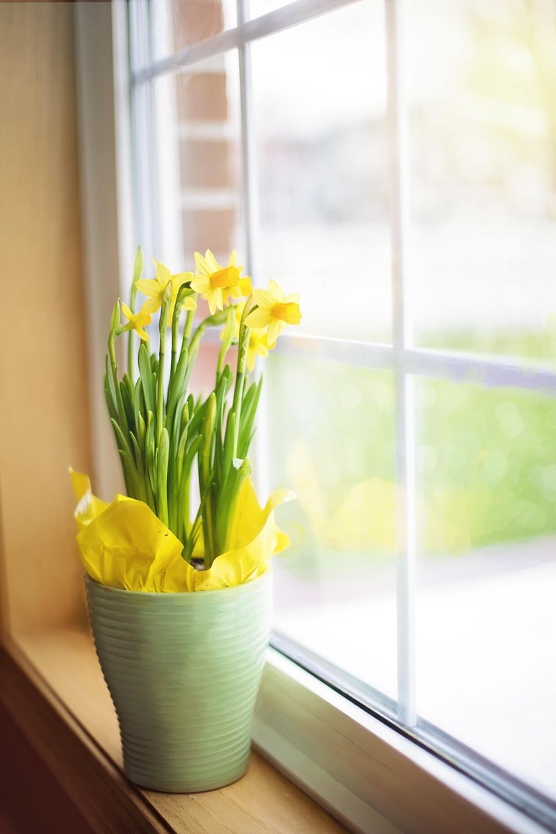 Windowsill Ideas